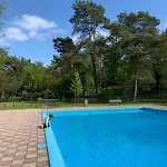 Kemp Natuurhuisje De Boshut Nunspeet