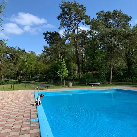 Campsite Natuurhuisje De Boshut Nunspeet