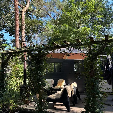 Campsite Natuurhuisje De Boshut