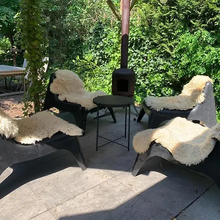 Natuurhuisje De Boshut