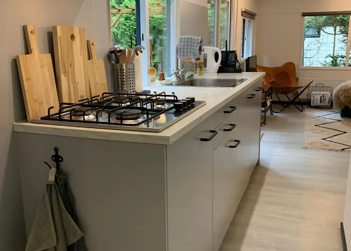 Natuurhuisje De Boshut *