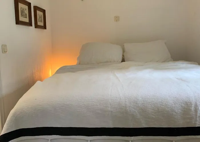 Kemping Natuurhuisje De Boshut *