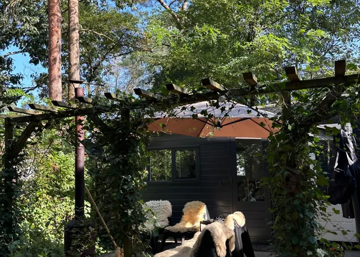 Campsite Natuurhuisje De Boshut