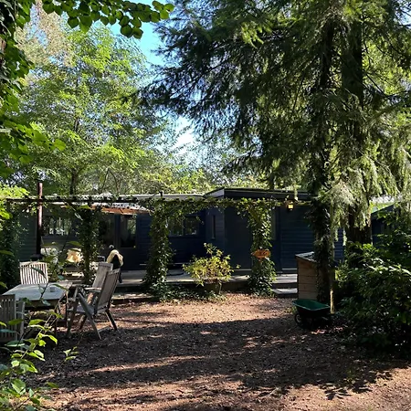 Natuurhuisje De Boshut * Nunspeet