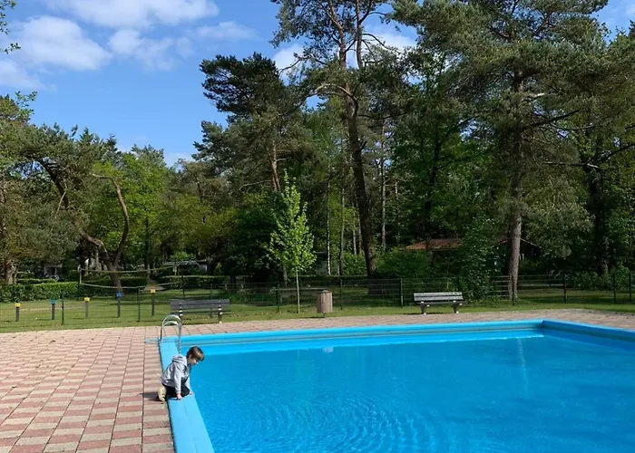 Camping Natuurhuisje De Boshut Nunspeet