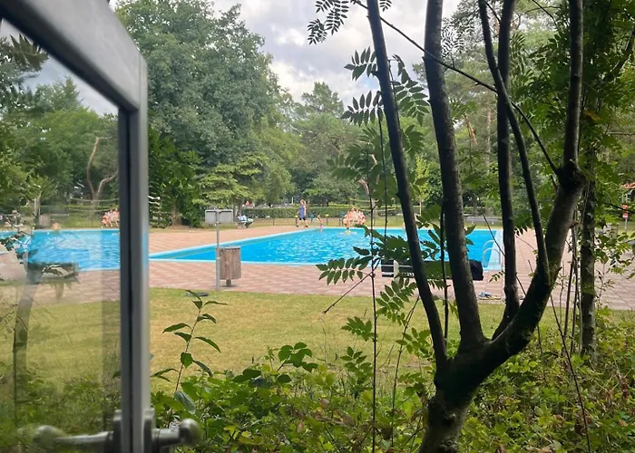 Camping Natuurhuisje De Boshut